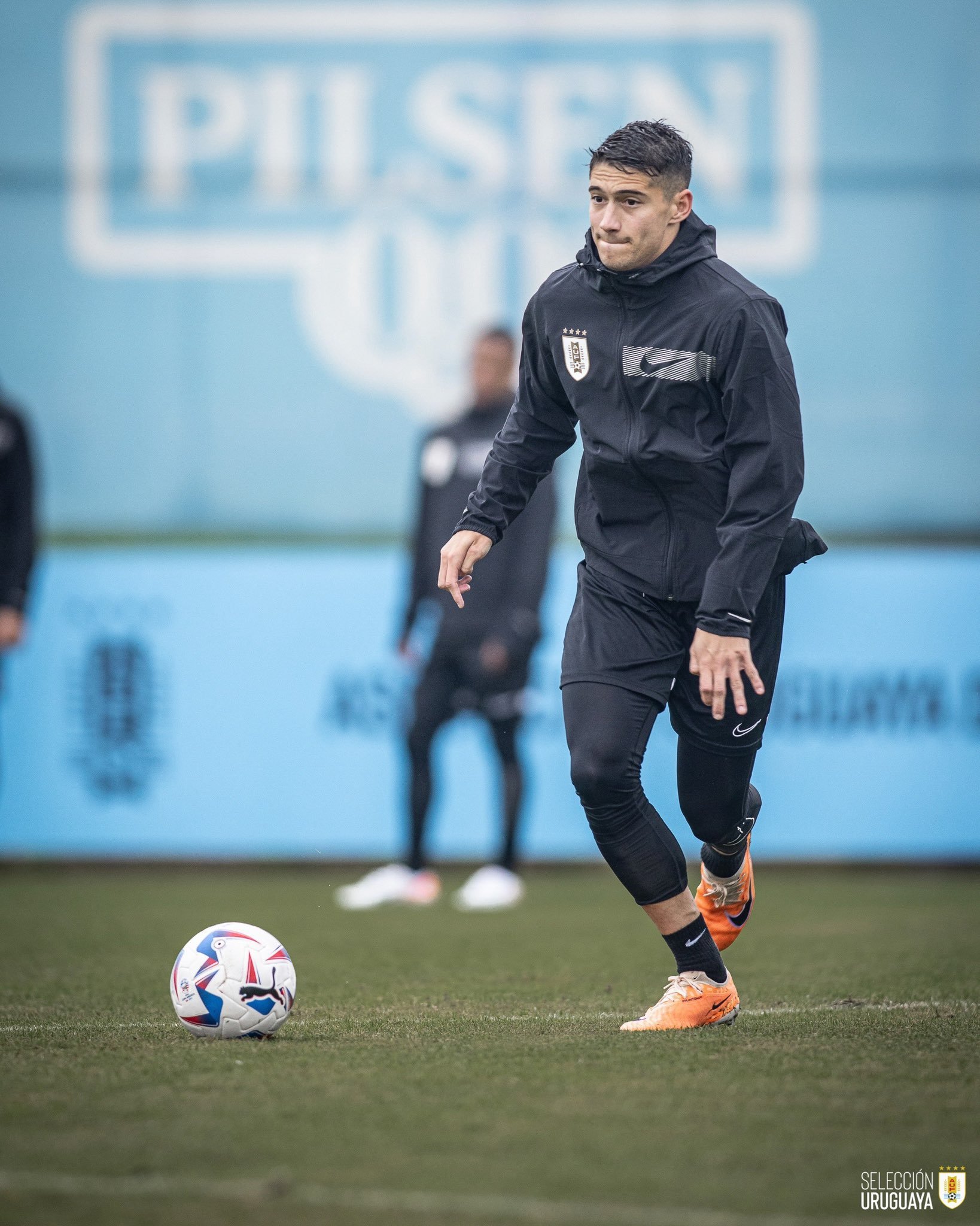 包含球迷心系赛事进程，球员训练备战的词条